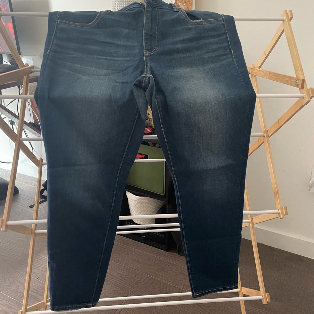 American Eagle Skinny Jeans - US 12 Short